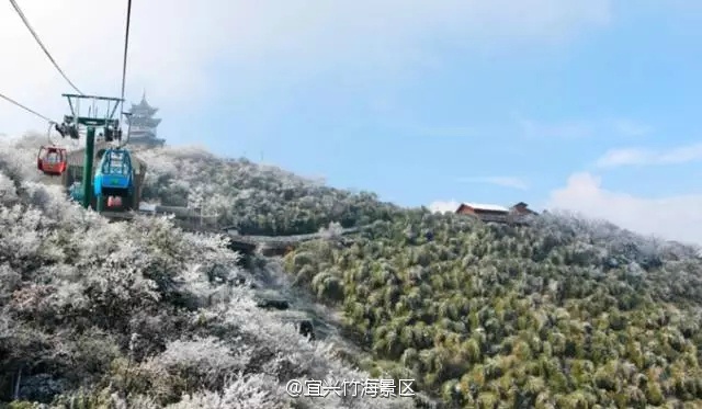 宜兴竹海雪景